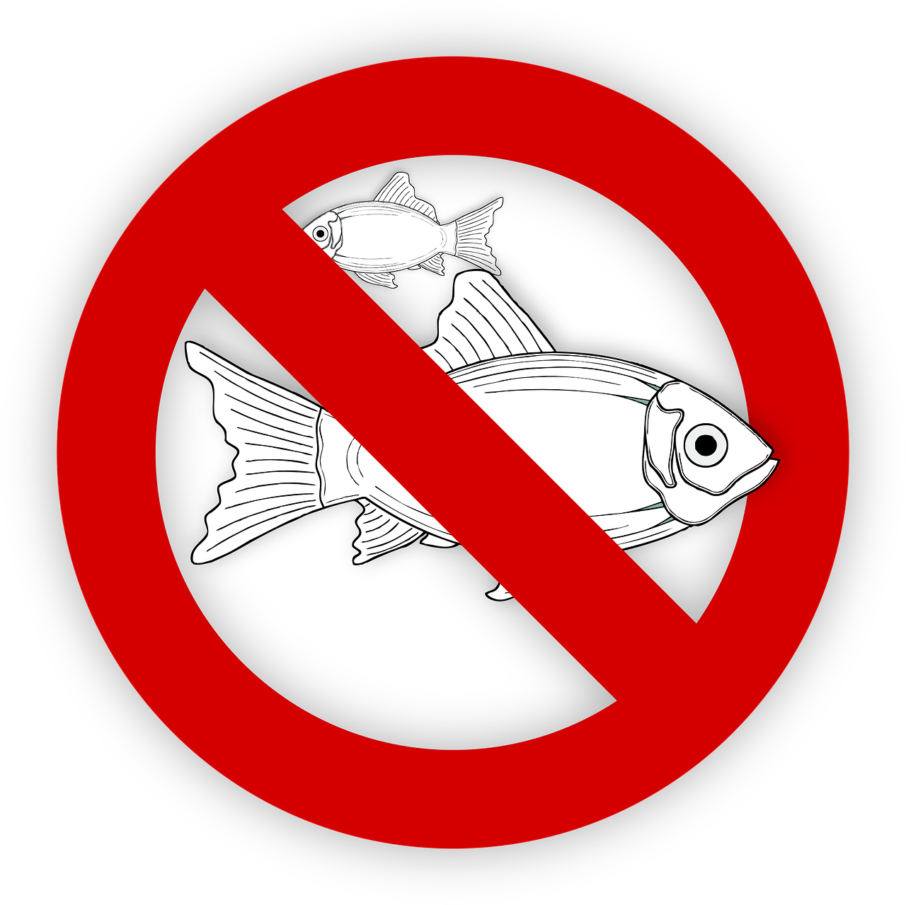 pixabay-995050-7.png